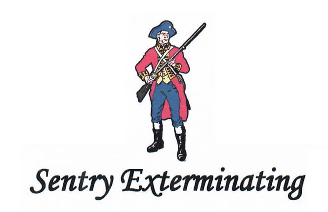 Sentry Logo 2
