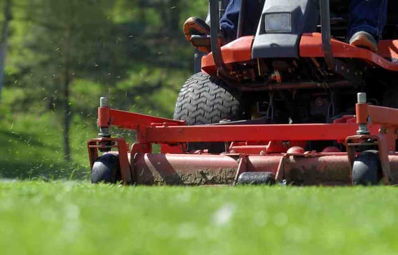 Lawn mower mowing field of grass