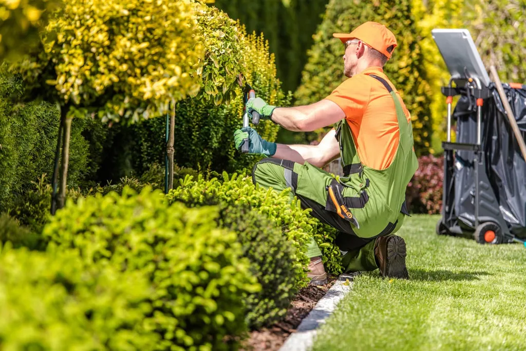 Landscaping company_WebP